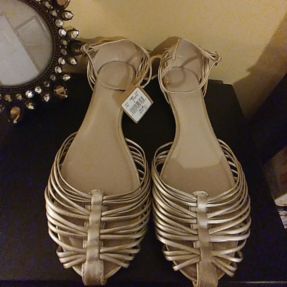 American eagle flats